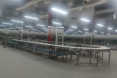 江苏康丰牧业解码肉制品溯源：牛羊屠宰加工体系洞察