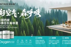 2026艺术漆加盟品牌测评榜