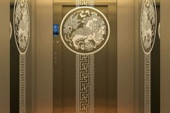 乘客电梯选型指南：泰禾电梯用户反馈与市场实践解析