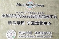 宁夏企业AI搜索破局：GEO助手重塑品牌曝光