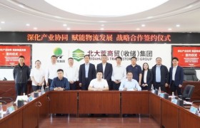 主线科技携手两大物流“国家队”，共建“北粮南运”智慧绿色物流新通道