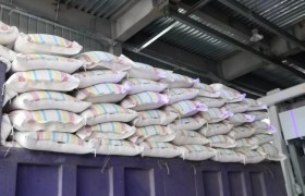 袋装物料装车人工成本难题：智能装备如何破局
