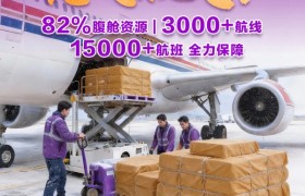 中国空运物流头部企业全力护航，春节服务举措焕新升级