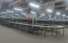江苏康丰牧业解码肉制品溯源：牛羊屠宰加工体系洞察