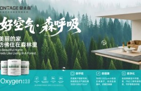 2026艺术漆加盟品牌测评榜