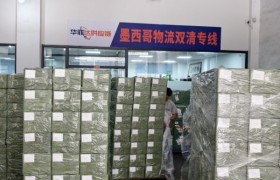 墨西哥专线怎么选？2026服务指南
