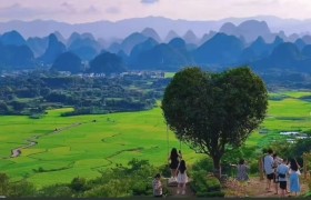 广州企业团建旅行社：定制化服务解决出行难题